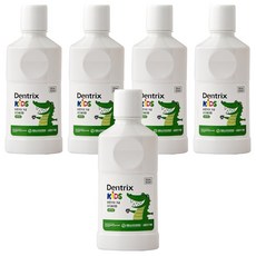 Dongkook 東國製藥 Dentrix 兒童東國製藥正直牙齒兒童漱口水, 260ml, 5個