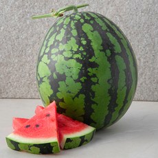 곰곰 유명산지 11.5 brix 수박, 5kg 이상, 1개