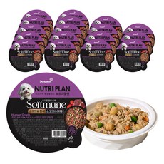 동원뉴트리플랜 1세 이상 강아지 소프트뮨 화식사료, 소+채소, 100g, 18개