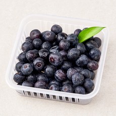 곰곰 친환경 제주 블루베리, 200g, 1팩