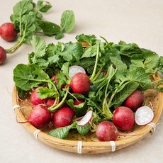 국내산 레디쉬 방울무, 300g, 1봉