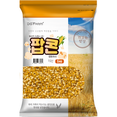 대구농산 건강한밥상 팝콘용 옥수수, 5kg, 1개