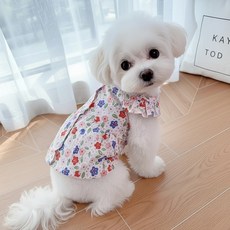 Petit Dog Pet Poco 一件 DSO060, 一種顏色