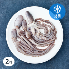 올프레쉬 살아 있을 때 얼린 낙지 (냉동), 2개, 450g
