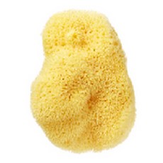 Beautiful Skin洗臉用海綿 L號, 單色, 1個