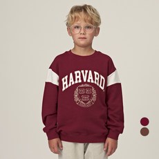 HARVARD KIDS 青少年兒童哈佛徽章刷毛大學T HJCCMTE44249