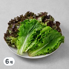 국내산 GAP 반반상추, 200g, 6개