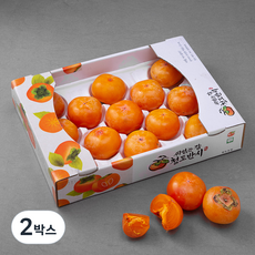 청도홍시, 2.5kg ( 13~17입), 2박스