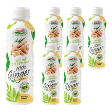 나원 NFC 착즙 찐 생강 원액 100%, 500ml, 6개