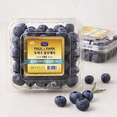 폴앤박 블루베리, 125g, 2팩