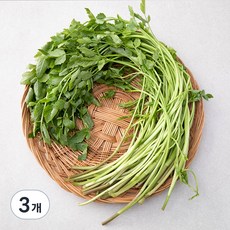 국내산 친환경 미나리, 200g, 3개