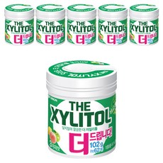 오리온 더자일리톨 츄잉껌, 102g, 6개