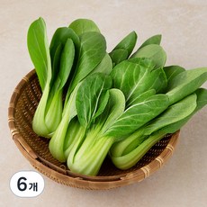 국내산 GAP 청경채, 300g, 6개