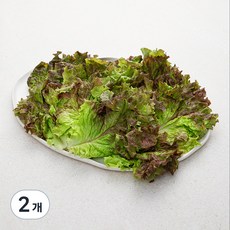 국내산 친환경 적상추, 150g, 2개