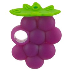 Richell 利其爾 咬咬固齒器 附收納盒, 固齒器 + 透明收納盒, 葡萄, 1個