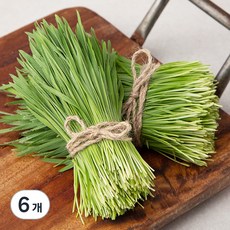 국내산 친환경 밀순, 50g, 6개