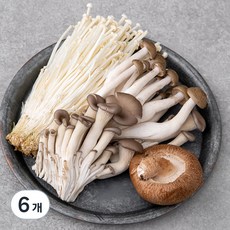 전골용 모둠버섯, 200g, 6개