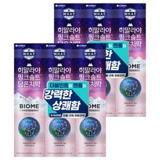 히말라야핑크솔트 바이옴 잇몸 구취전문 치약, 160g, 6개