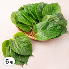 친환경 밀양 깻잎, 50g, 6팩