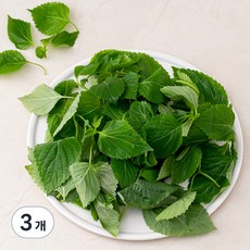 국내산 GAP 추부깻순, 200g, 3개