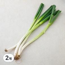 국내산 친환경 대파, 500g, 2개