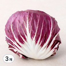 국내산 라디치오, 200g, 3개, 200g