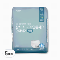 탐사 시니어 안온케어 언더웨어 국내산 성인기저귀, 대형, 20개입, 5세트