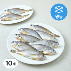 초록바다 굴비 2미 (냉동), 10개, 700g