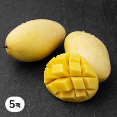 더달 필리핀 카라바오 망고 2개입, 500g, 5팩