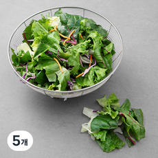 채소믹스 하프팩, 500g, 5개