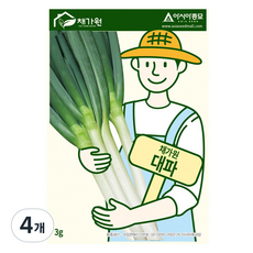 아시아종묘 대파 씨앗 3g, 4개