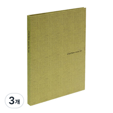 韓國 DREAM Sbien 槓桿夾式文件夾, 3個, 淺綠色