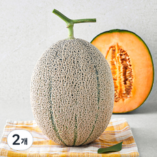 제이드가든 칸탈로프 메론, 1.8kg, 2개