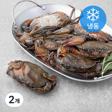 재호 태국 톱날 꽃게 (냉동), 900g (120/150), 2개