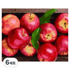 플레이어바웃 DIY 유화 그림그리기 세트 40 x 50 cm, 행운의 홍사과(MG084), 6세트