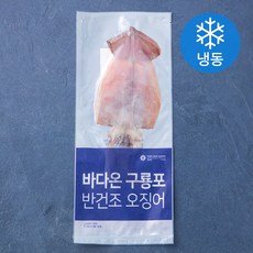 바다온 포항시 인증 한마리 구룡포 반건조 오징어 (냉동), 90g, 1개