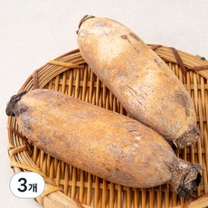 친환경 세척 연근, 3개