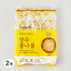 김구원선생 GAP 인증 장수 콩나물, 600g, 2개