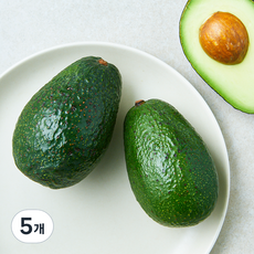 맛젤 칠레산 아보카도 2입, 5개, 430g