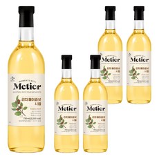 메티에 리치헤이즐넛 시럽, 5개, 750ml