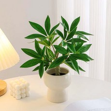 Floral M 花藝 仿真綠植 財富滿滿發財樹, 1個, 綠色