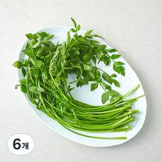 국내산 한재 미나리, 6개, 200g