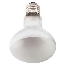 OTTO 建興水族 100W 爬蟲聚熱燈泡，Reptile Basking Spot Lamp，UVA光波，平均使用壽命約3500小時, 日光, 1個