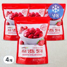 곰곰 냉동 딸기(이집트산), 1kg, 4개