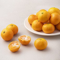 곰곰 당도선별 한입 감귤, 1kg, 1팩