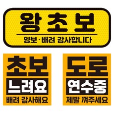 제제데코 초보운전 차량 스티커 고휘도 반사 탈부착 자석 + 리무버블 스티커 2종 세트 초보용, 007, 1세트