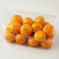 곰곰 당도선별 10brix 감귤, 1.2kg(꼬마과), 1개