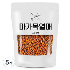 자연무이 마가목열매, 100g, 5개