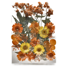 A-ONE 匯旺 真花壓花 大花包 Set, 橘色秋意