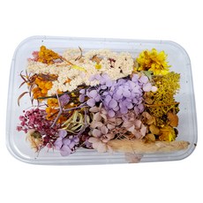 A-ONE 匯旺 乾燥花3件組 C15 隨機乾燥花盒, 隨機出貨